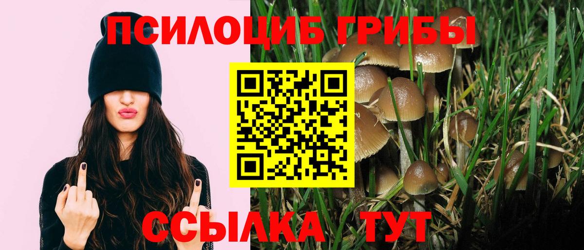 Галлюциногенные грибы Psilocybine cubensis  Псилоцибиновые грибы Magic Shrooms  Первоуральск  цена   Вход с VPN 